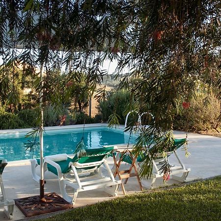 Casa Das Alfazemas Com Piscina, Jardim E Snooker Adao Lobo Eksteriør billede