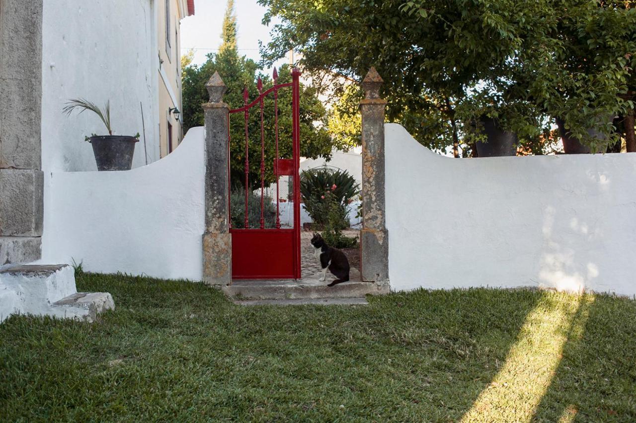 Casa Das Alfazemas Com Piscina, Jardim E Snooker Adao Lobo Eksteriør billede